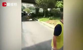 吃瓜师傅跳桥视频大全,揭秘惊险瞬间