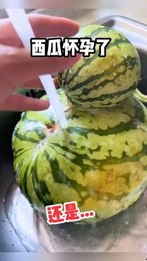 搞笑配乐吃瓜视频,带你领略欢乐无限