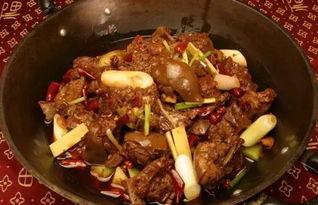 刘大瓜狗肉吃货视频,一场味蕾与情感的盛宴