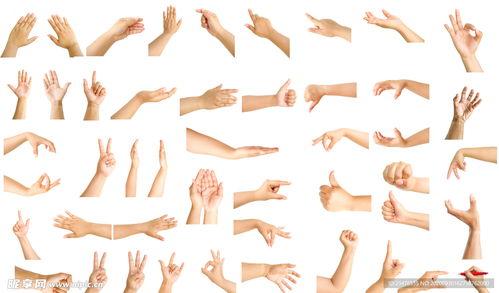 吃瓜手势动作怎么做视频,轻松制作趣味短视频教程