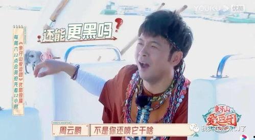 宝哥吃瓜搞笑视频,笑料百出，瓜田笑果连连