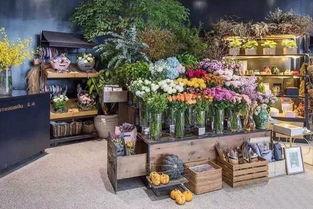 韩城花店吃瓜事件视频,一场意外的网络风波揭秘