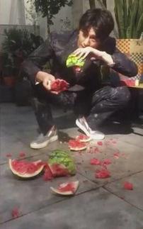 清苑吃瓜事件视频大全,视频大全揭秘惊人真相