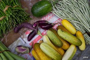 西江吃瓜视频最新,揭秘娱乐圈最新热点事件