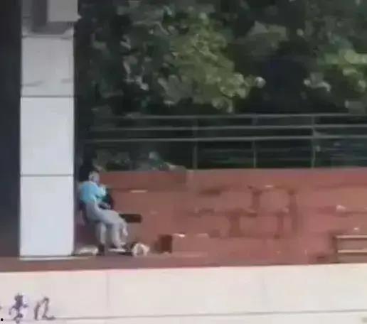 广州美院吃瓜事件视频,校园风波背后的真相揭晓