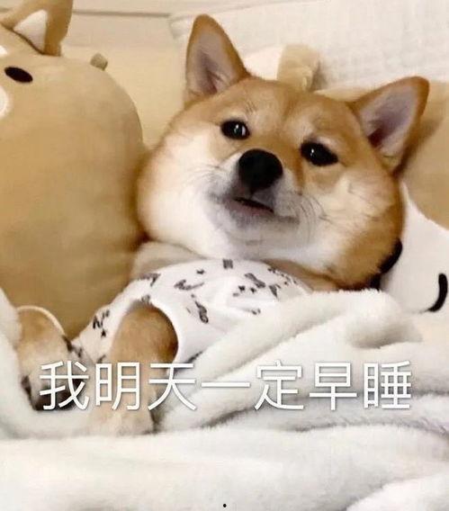 吃瓜大爆料合集视频大全,揭秘合集视频中的热点事件与幕后真相