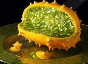 男孩吃角瓜的视频,趣味横生引网友热议