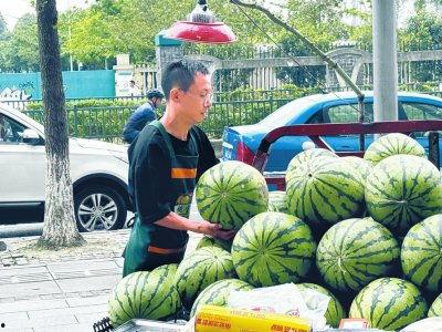 摆摊网红吃瓜视频下载安装,轻松追剧，畅享美食时光