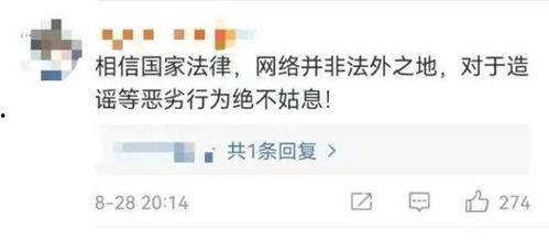 吃瓜不传谣视频在线观看,在线观看视频带你了解真相与谣言的界限