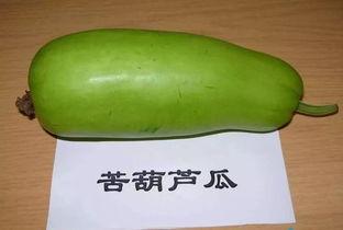 葫芦瓜怎么吃才好啊视频,这样吃最营养！