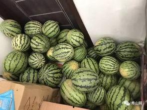 淳华吃瓜比赛视频全集下载,全程精彩瞬间大放送